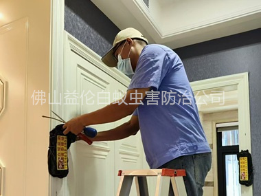 高明住宅白蟻防治工程